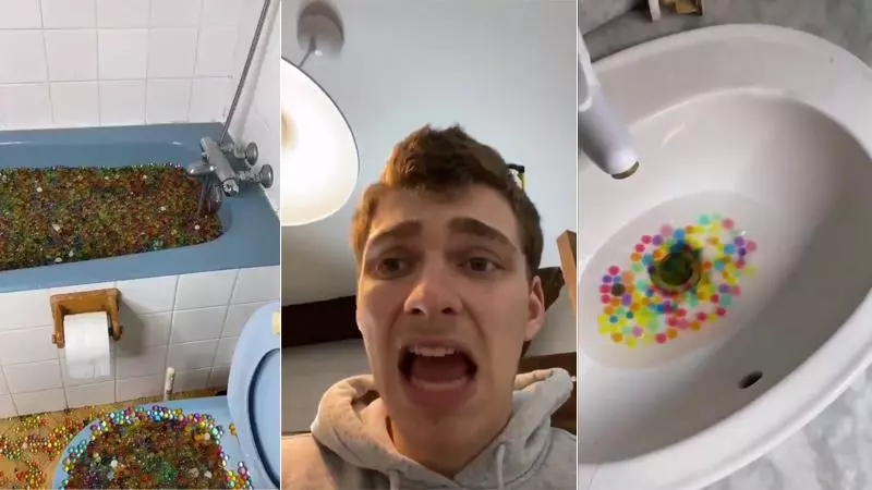 cyril schreiners orbeez flood video meme image