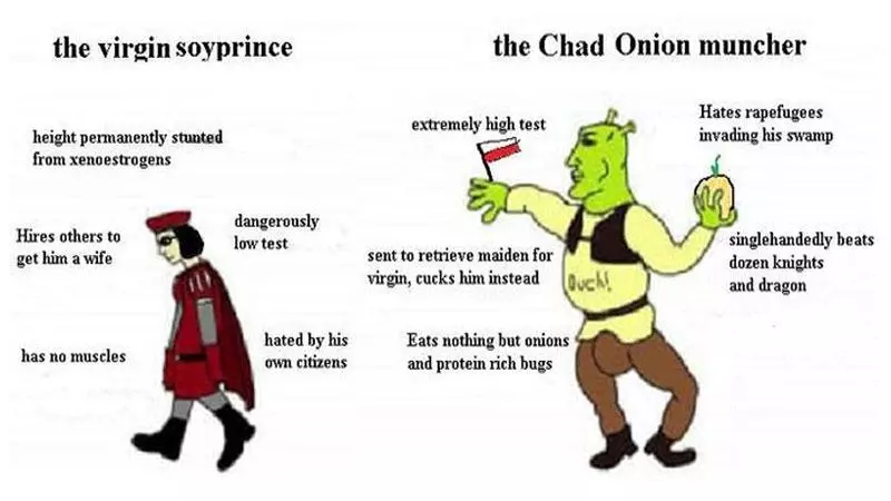 the onion pill meme image
