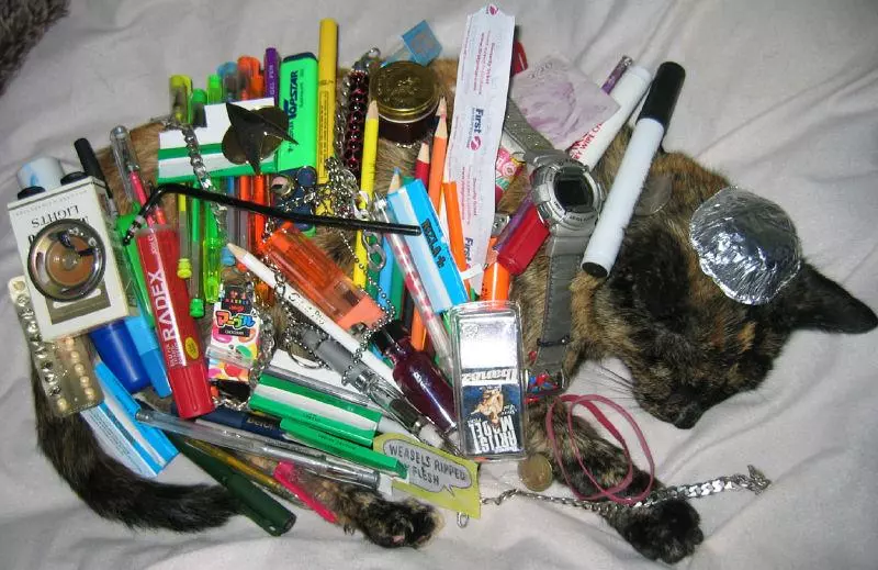 cat buckaroo meme image