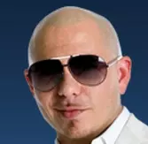 exilepitbull meme image