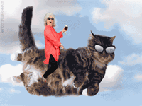paula deen riding things