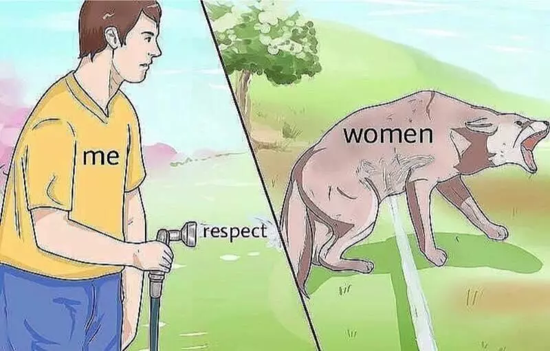 respect women meme image