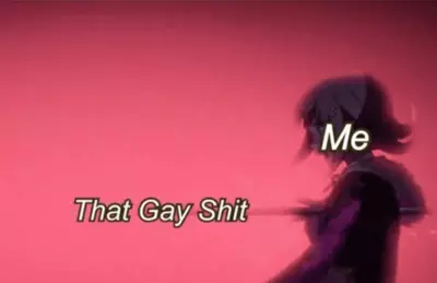 miss me with that gay shit