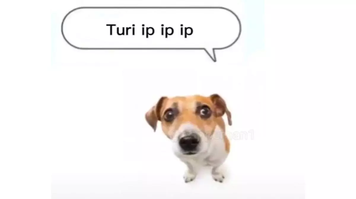 turi ip ip ip meme image