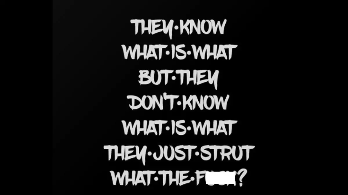 they know what is what but they dont know what is what they just strut meme image