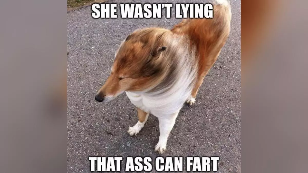 she wasnt lying that ass can fart meme image