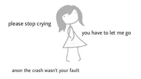 the crash wasnt your fault meme image