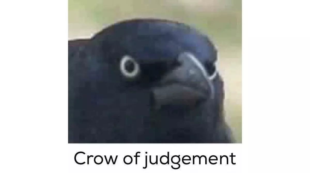 crow of judgement meme image