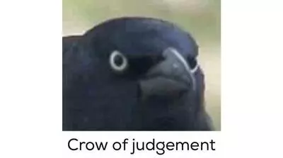 crow of judgement