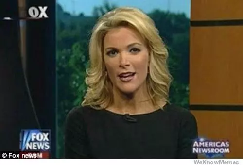 megyn kelly essentially meme image