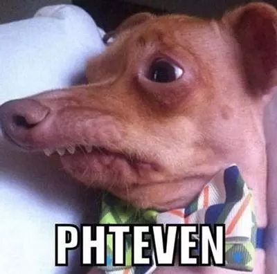 phteven tuna the dog