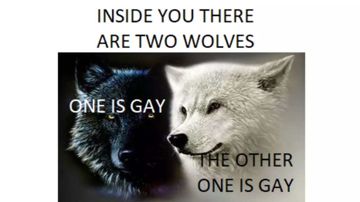 inside you there are two wolves meme image