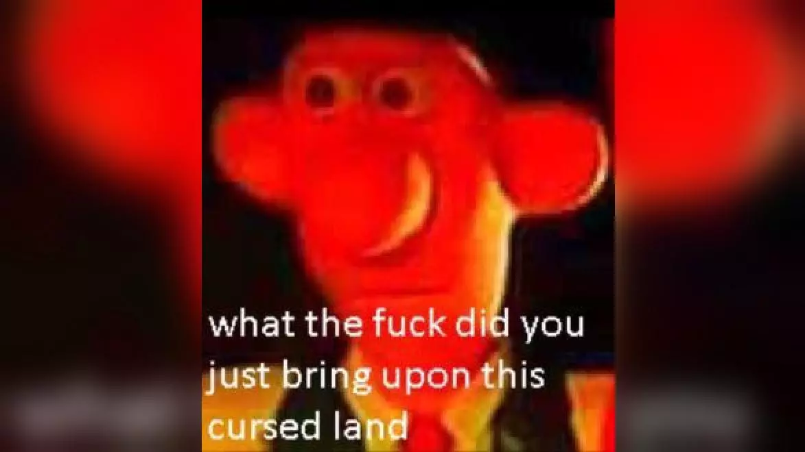 what the fuck did you just bring upon this cursed land meme image