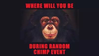 random chimp event