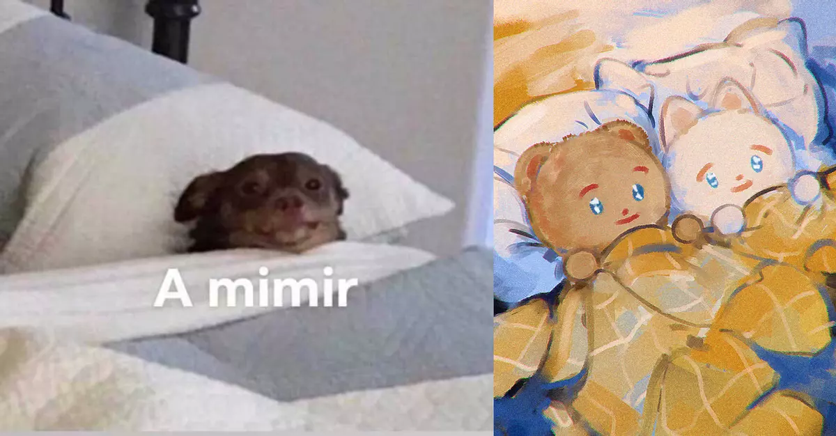 a mimir two mimir meme image