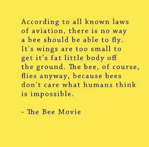 bee movie script according to all known laws of aviation meme image