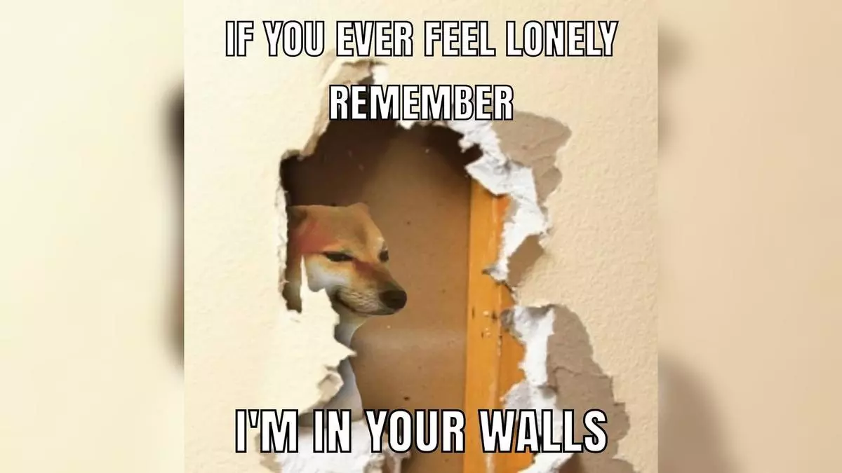 i am living in your walls meme image