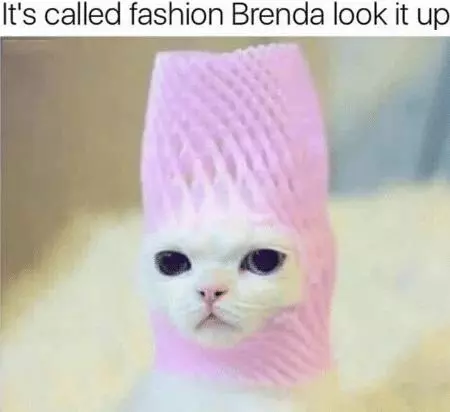 its called fashion look it up meme image