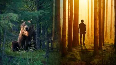 man or bear in the woods question