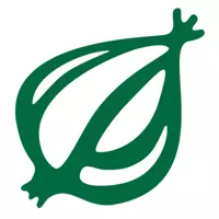 the onion