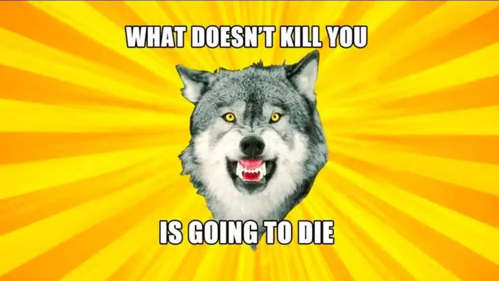 courage wolf meme image