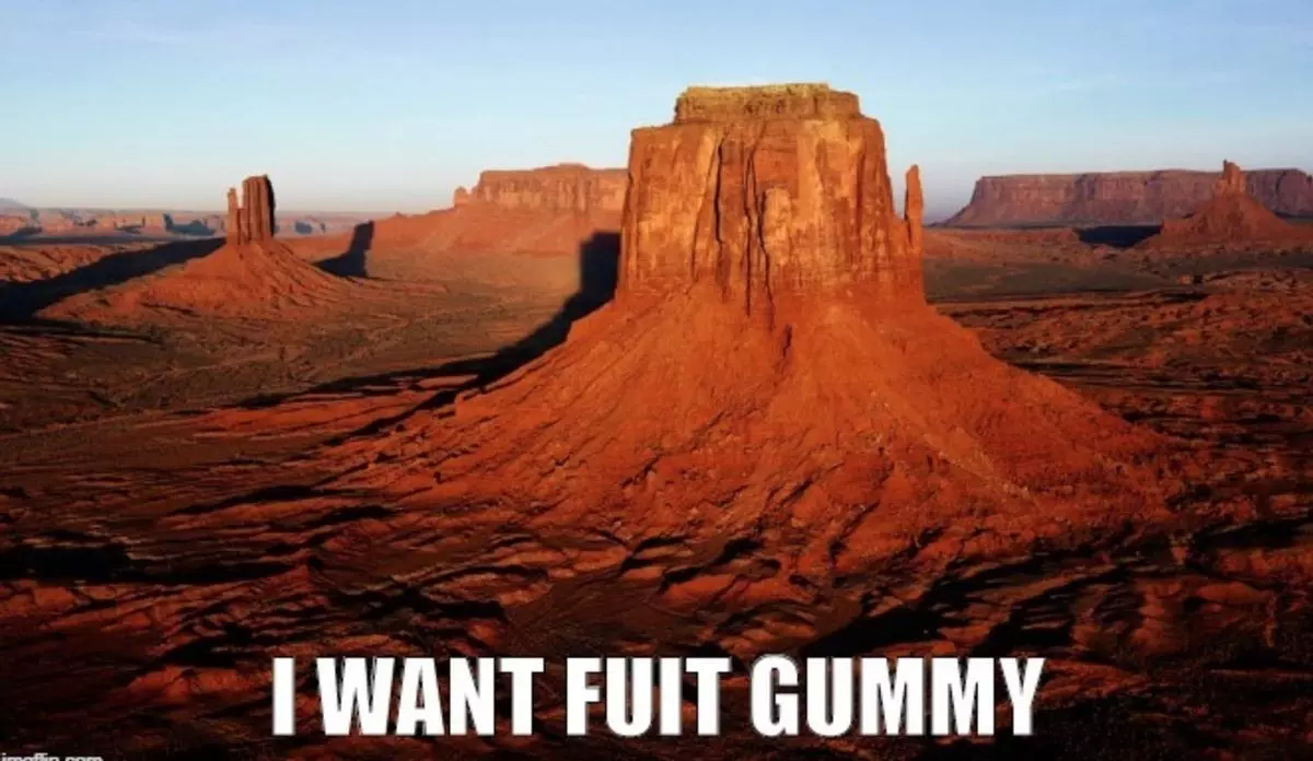 i want fuit gummy meme image