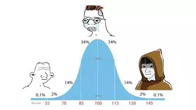 iq bell curve midwit