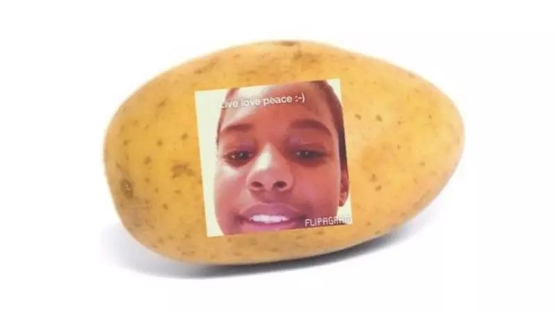 a potato flew around my room meme image