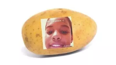 a potato flew around my room