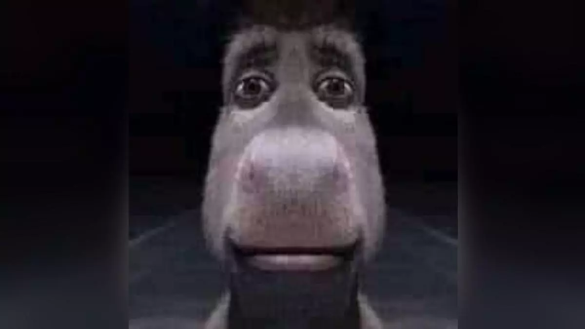 staring donkey meme image