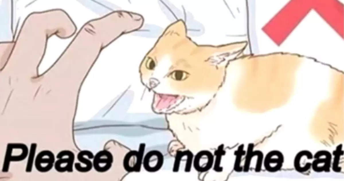 please do not the cat meme image