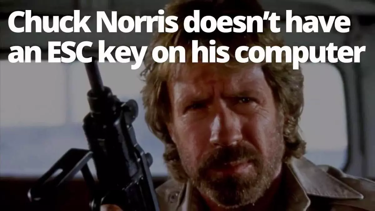 chuck norris facts meme image