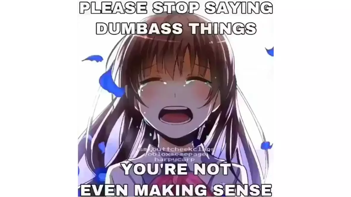 please stop saying dumbass things meme image