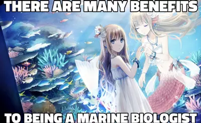 there are many benefits to being a marine biologist