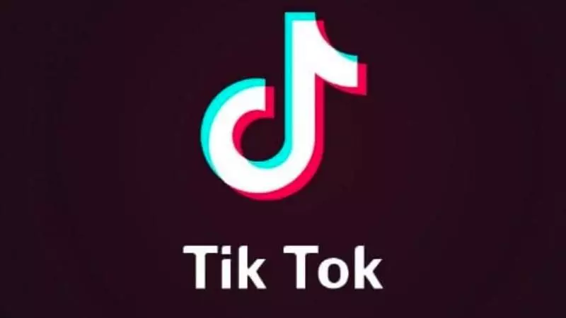 tiktok meme image