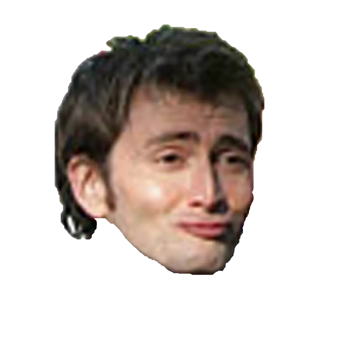 tennantface meme image