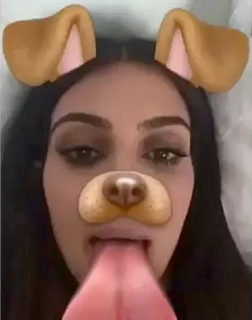 dog filter meme image