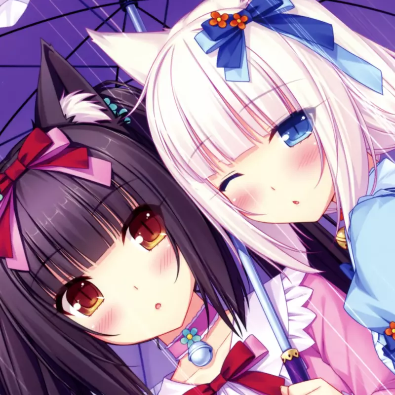 nekopara meme image