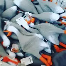 duck army meme image