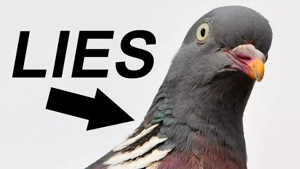 birds arent real meme image