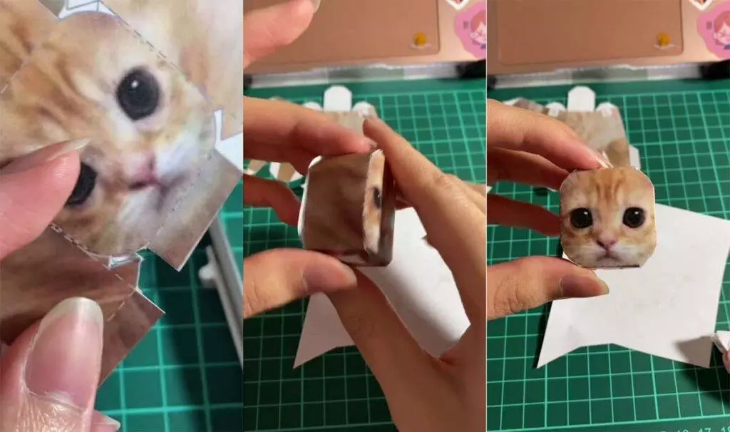 el gato tiktok sound meme image