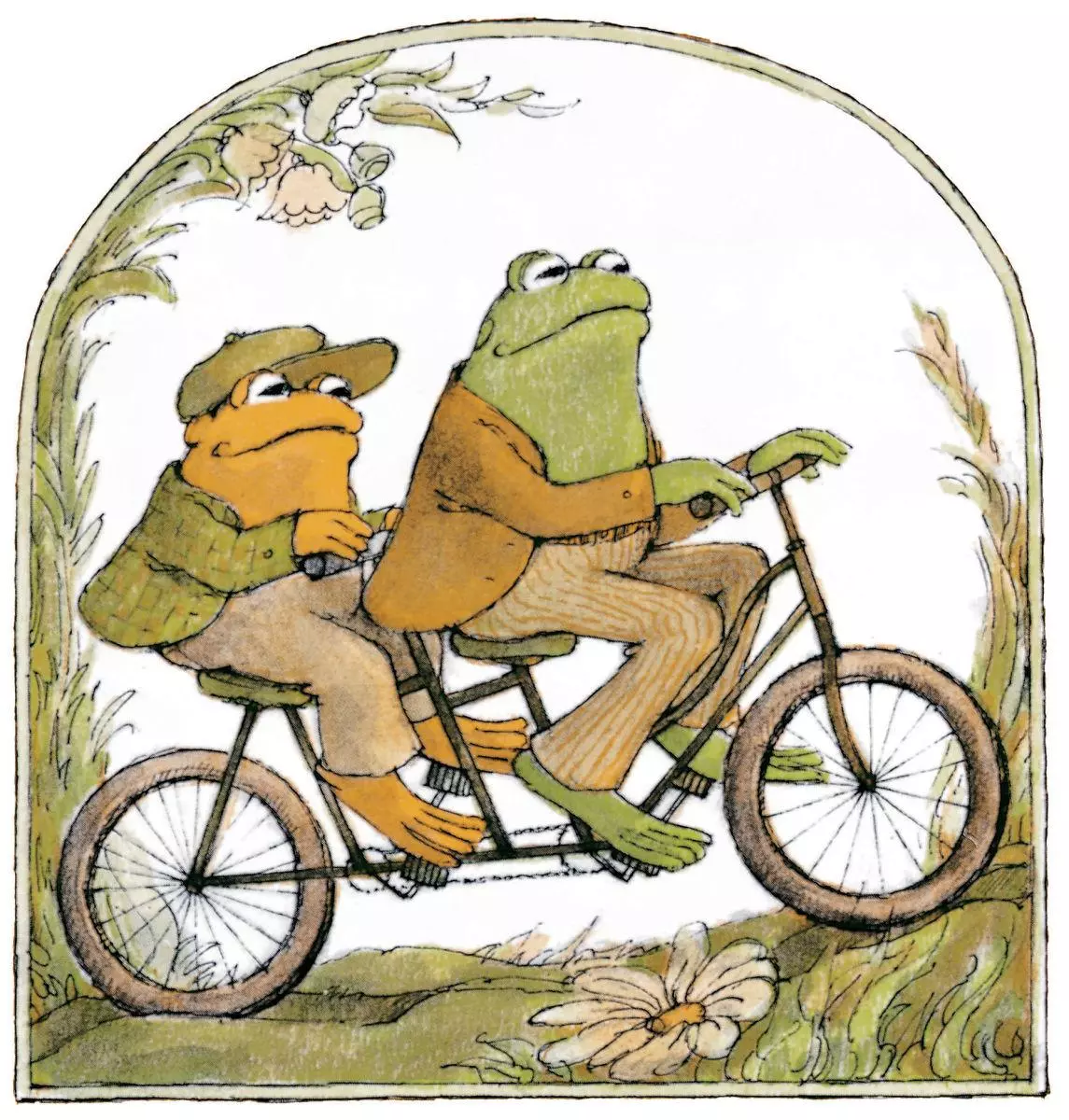 frog and toad meme image