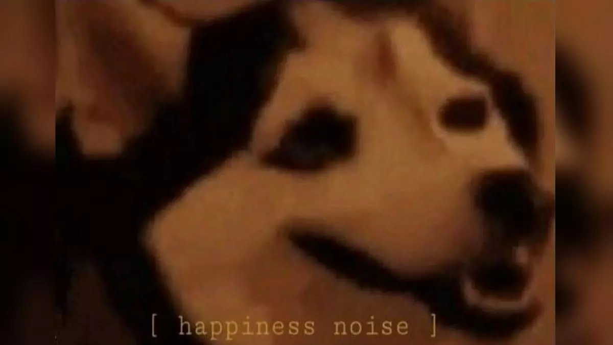 happiness noise meme image