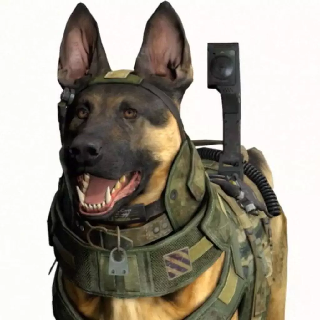 call of duty dog meme image