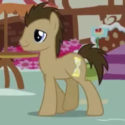 doctor whooves time turner meme image