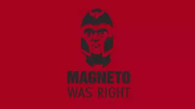 magneto was right