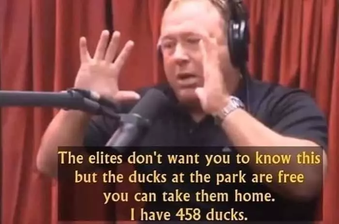 the ducks at the park are free meme image