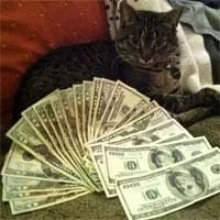 cashcats meme image