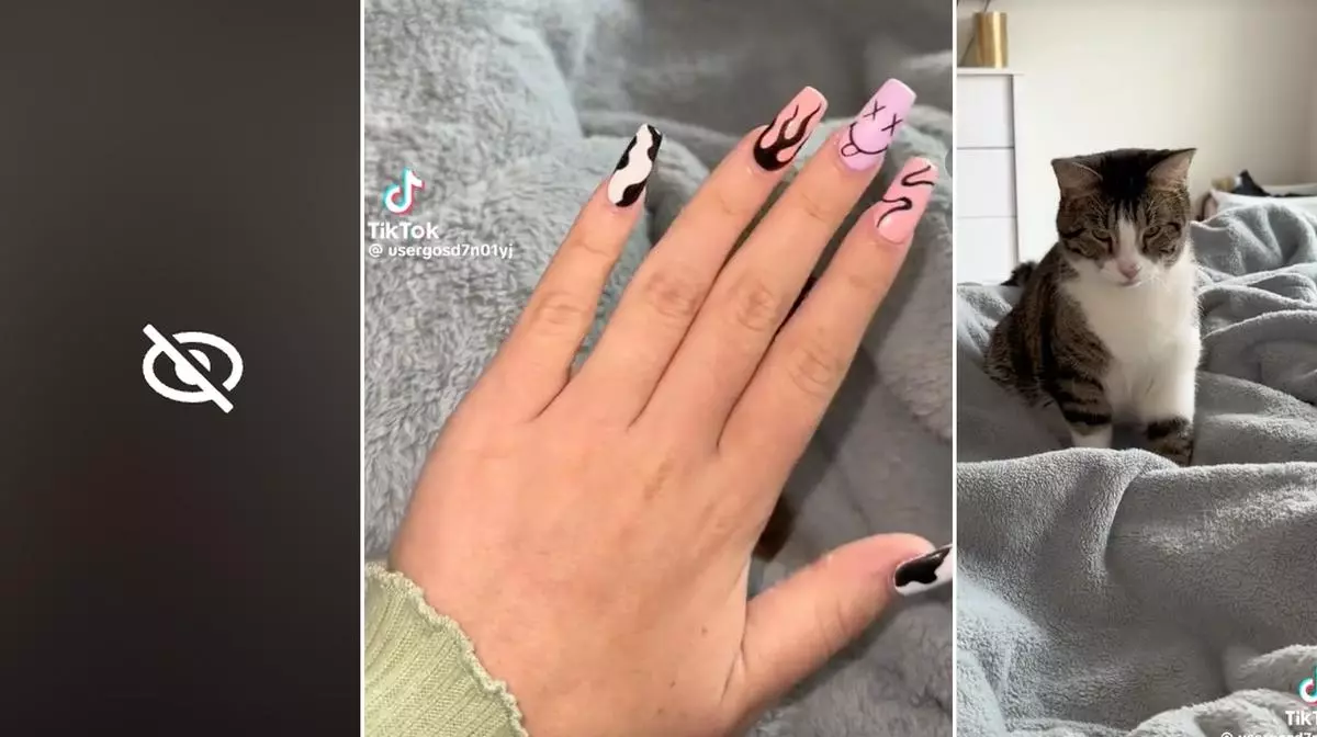 usergosd7n01yj new nails my kitty tiktok video meme image