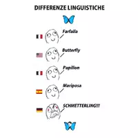 differenze linguistiche meme image